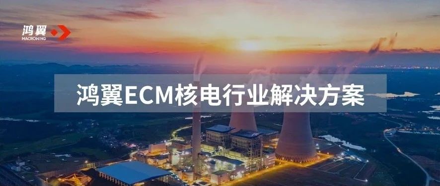 鸿翼助力核电行业ECM内容管理平台信创替代