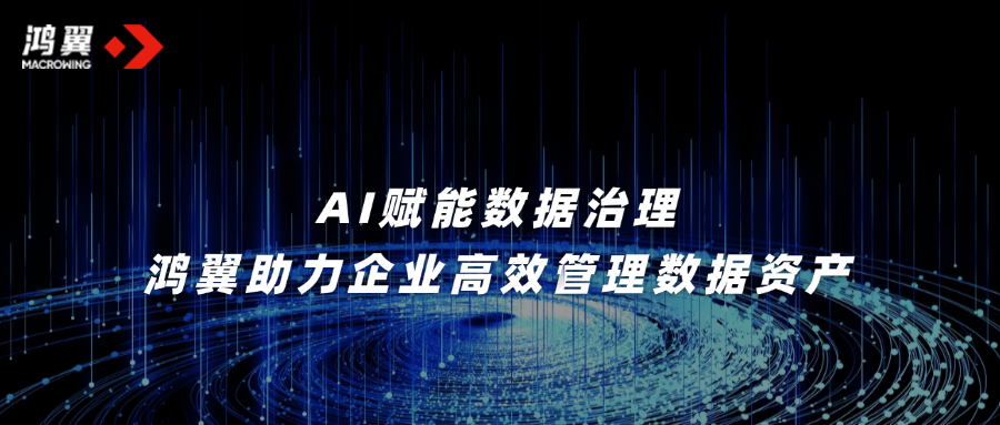 AI赋能数据治理，鸿翼助力企业高效管理数据资产